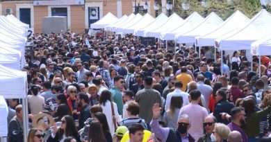 Feria del Vino Boadilla del Monte - que hace este fin de semana en madrid - ferias de madrid